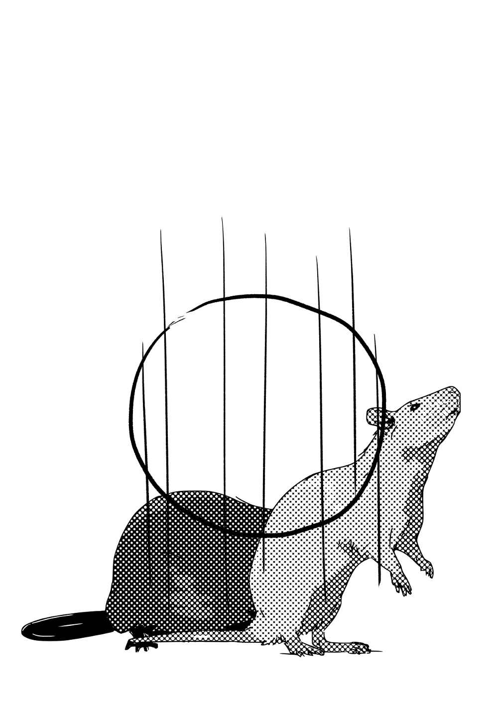 Rats in the Opera House